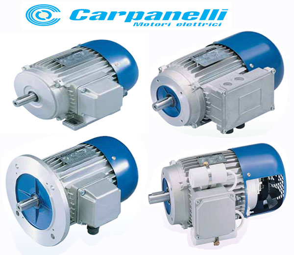 意大利Carpanelli电机(图1)