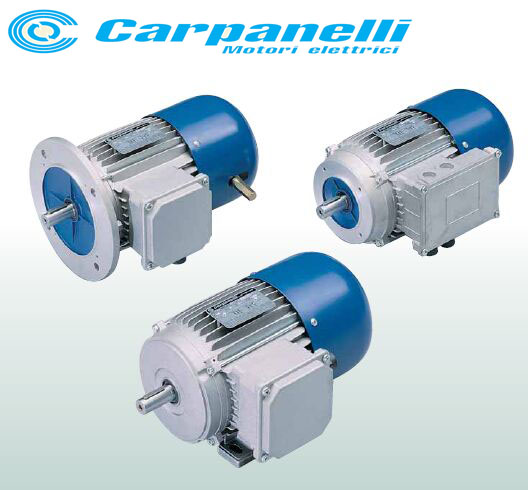 意大利Carpanelli电机(图4)