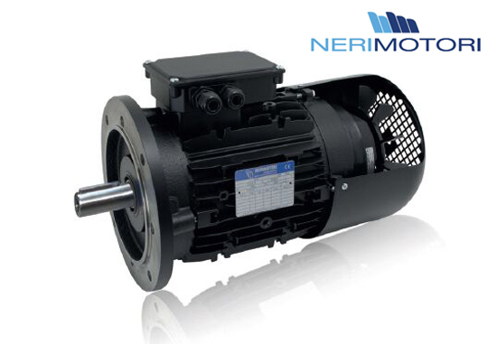 NERI MOTORI电机,NERIMOTORI马达(图4)