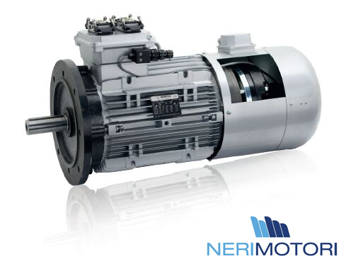 NERI MOTORI电机,NERIMOTORI马达(图5)