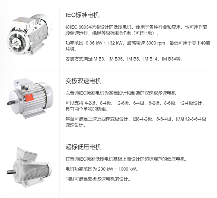 VEM电机,德国vem马达(图1)